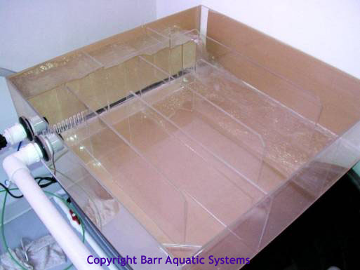 Custom Sump